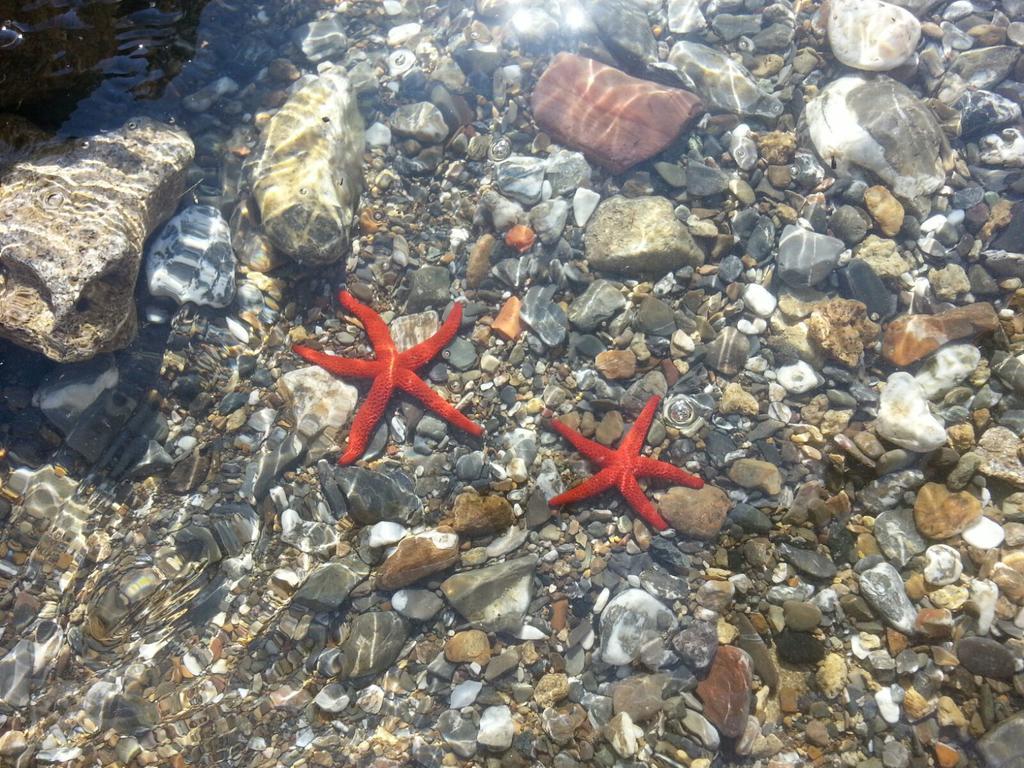Cala Dei Mori Aparthotel Livorno Exteriör bild